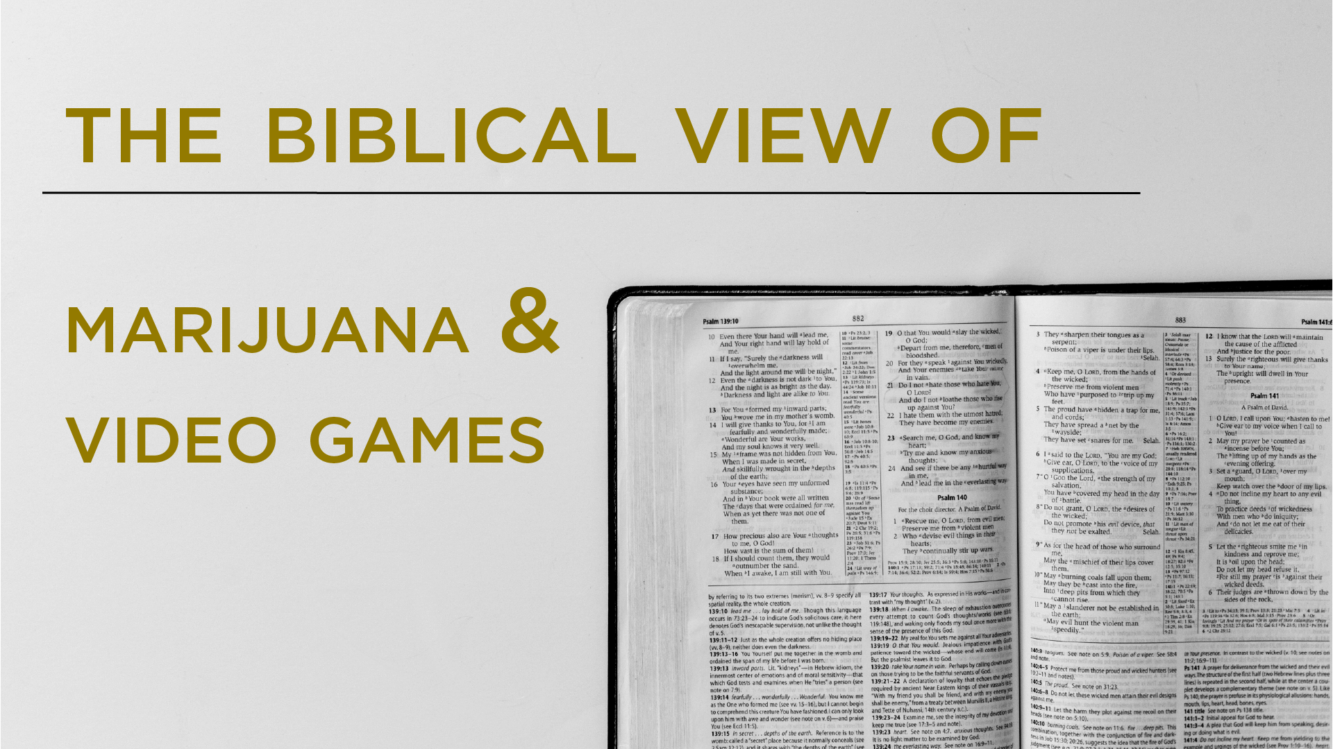 The Biblical View M&amp;VG-01